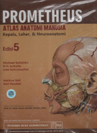 Prometheus Atlas Anatomi Manusia : Kepala, Leher & Neuroanatomi